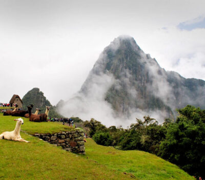 Machu Picchu, ¿en Tren o Caminando?