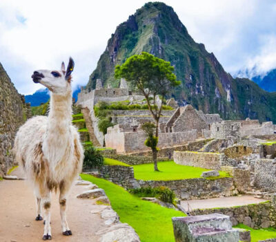 Machu Picchu, ¿en Tren o Caminando?